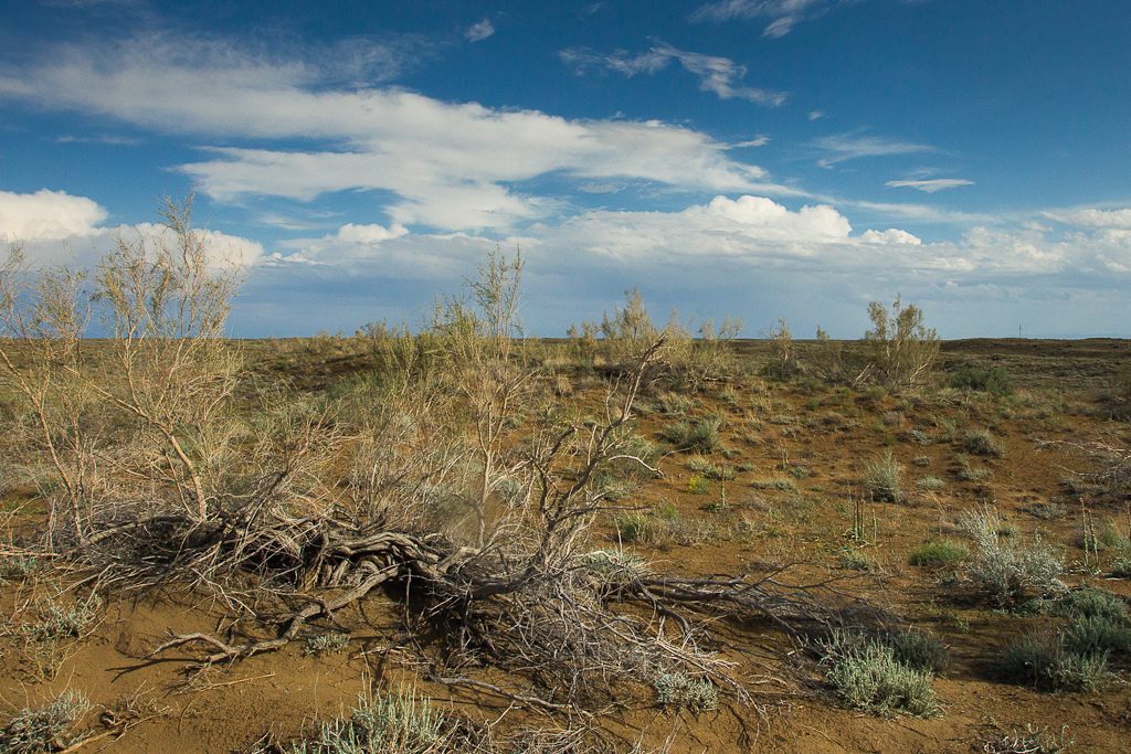Kasachstan Steppe