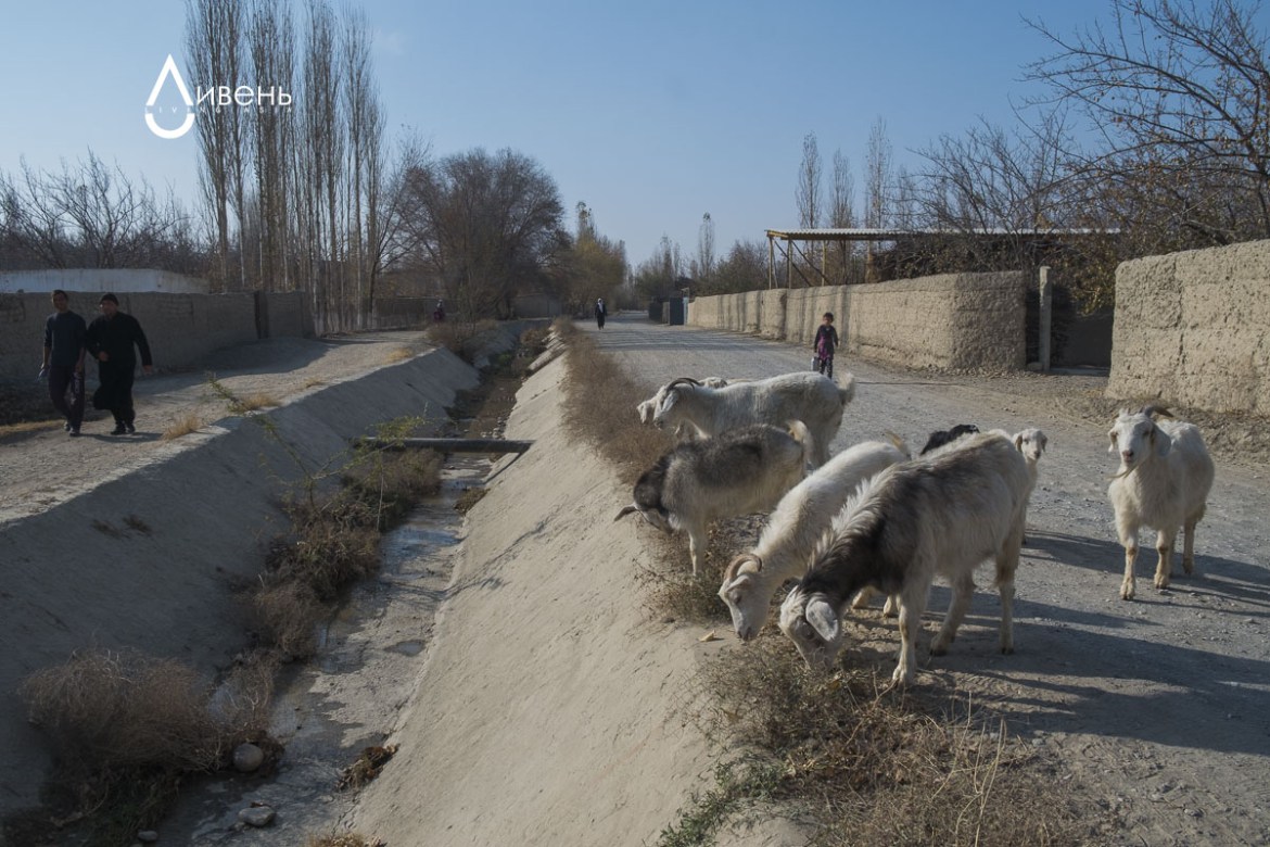 Le canal approvisionne Kirghiz et Tadjiks