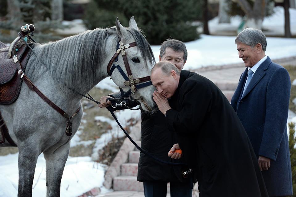 Poutine Atambaïev Kirghizstan Cheval