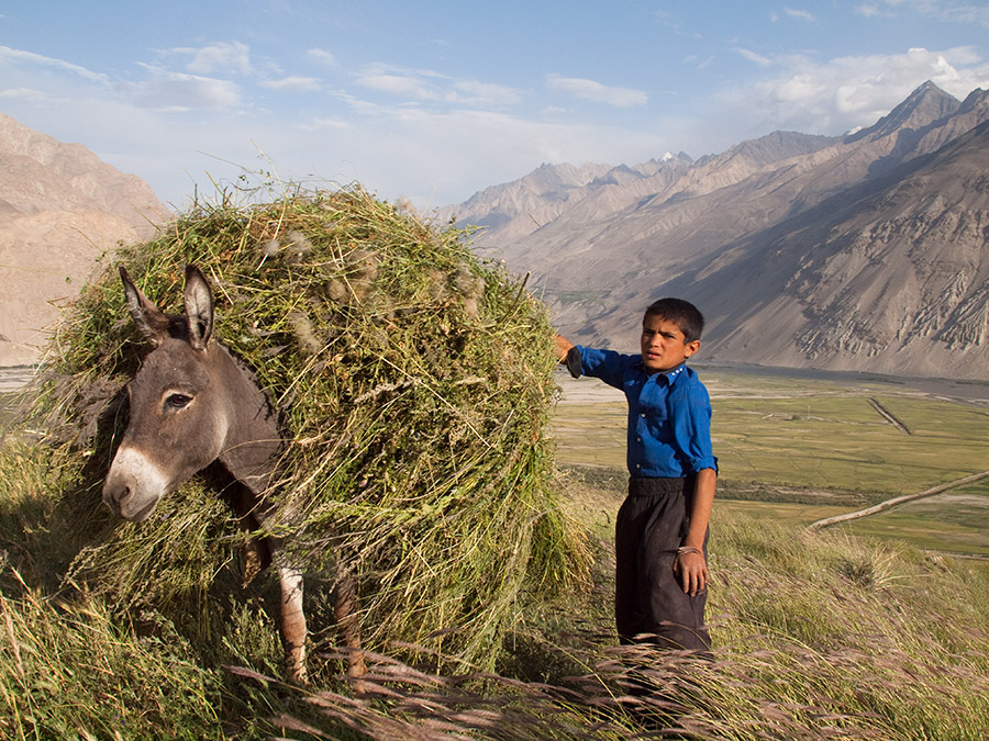 Pamir Tadjikistan Ane Enfant Prairie Montagne