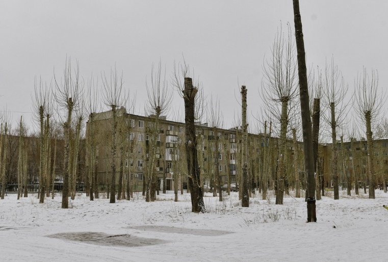 Ekibastouz Kazakhstan Arbres coupés Immeubles Neige