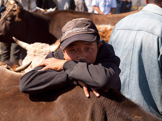 At Bashy animal market
