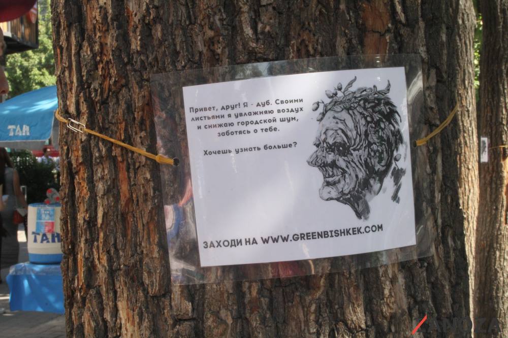 Bichkek écologistes Environnement Arbre Kirghizstan Message