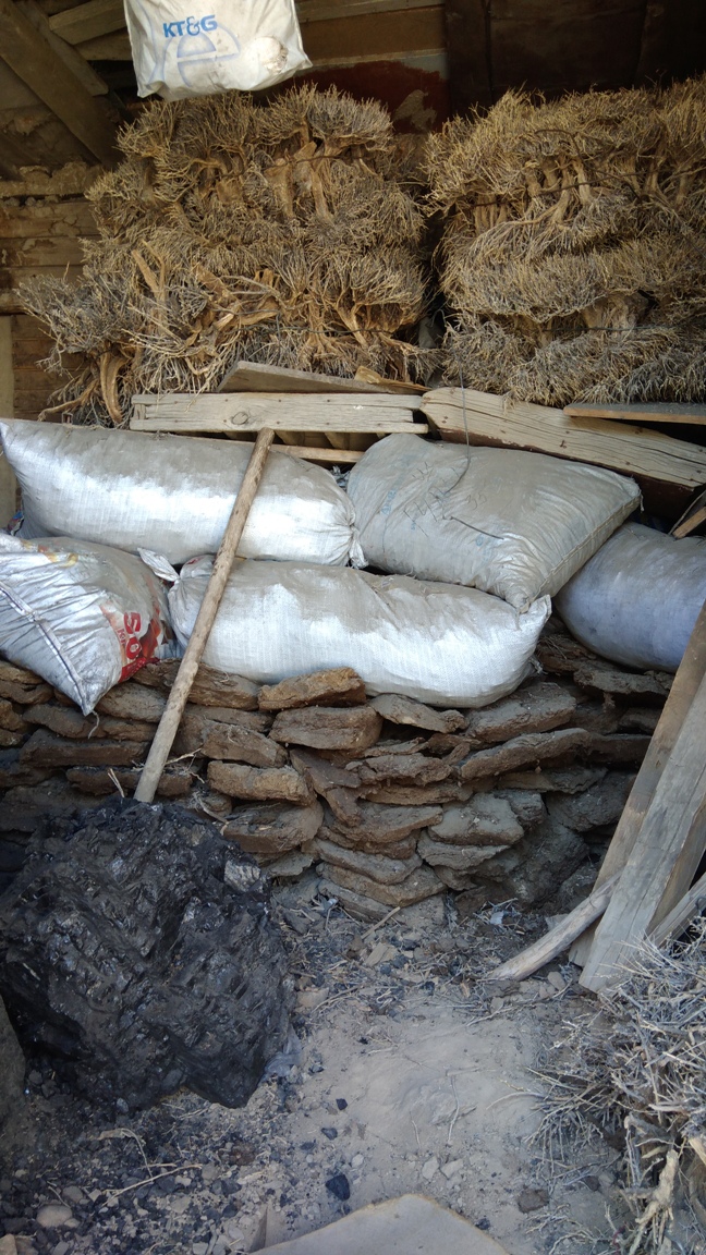 Combustibles Famille Mourghab Année