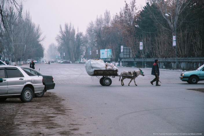 Jarkent Kazakhstan Ville Frontière Chine Âne route Vie