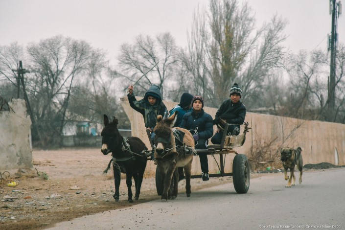 Jarkent Kazakhstan Ville Frontière Chine Âne Route Charrette