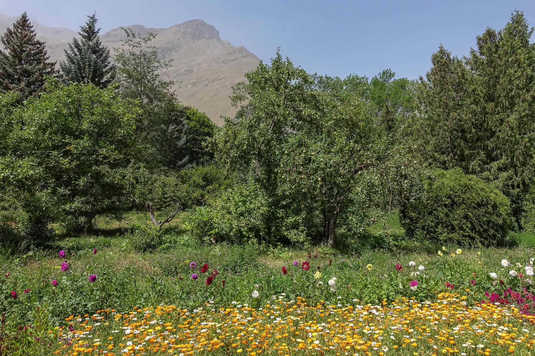 Khorog Pamir Jardin botanique Tadjikistan Ilaria Raïkova Environnement