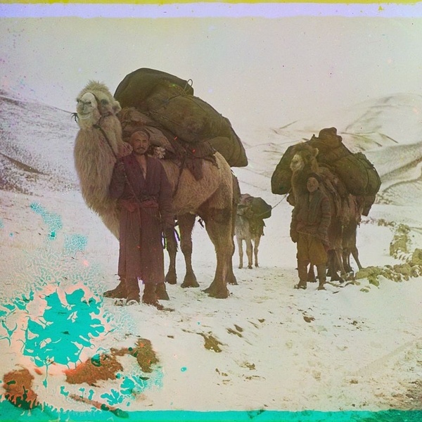 Asie centrale XXème siècle 1910 Voyage Sergueï Prokoudine-Gorski Empire russe Photographie Samarcande Ouzbékistan Chameaux