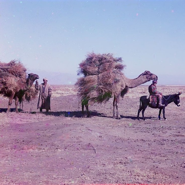 Asie centrale XXème siècle 1910 Voyage Sergueï Prokoudine-Gorski Empire russe Photographie Yangiyer Gouliston Steppe de la Faim Ouzbékistan