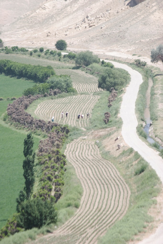 Tadjikistan, Agriculture