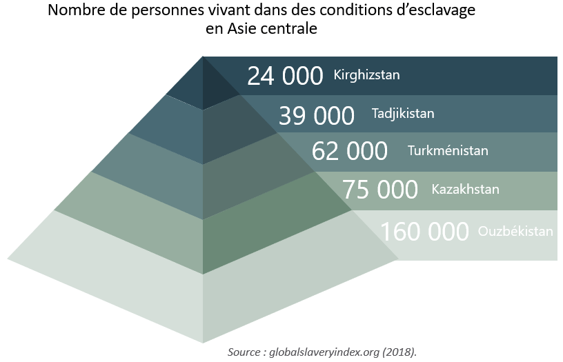 Asie Centrale Société Esclavage Moderne Travail Forcé