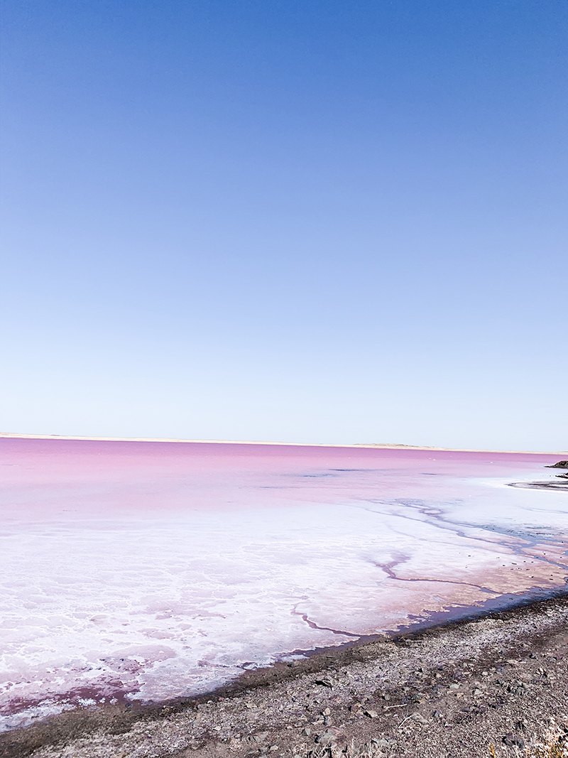 Lac Rose Kobeytouz Kazakhstan Algues Tourisme