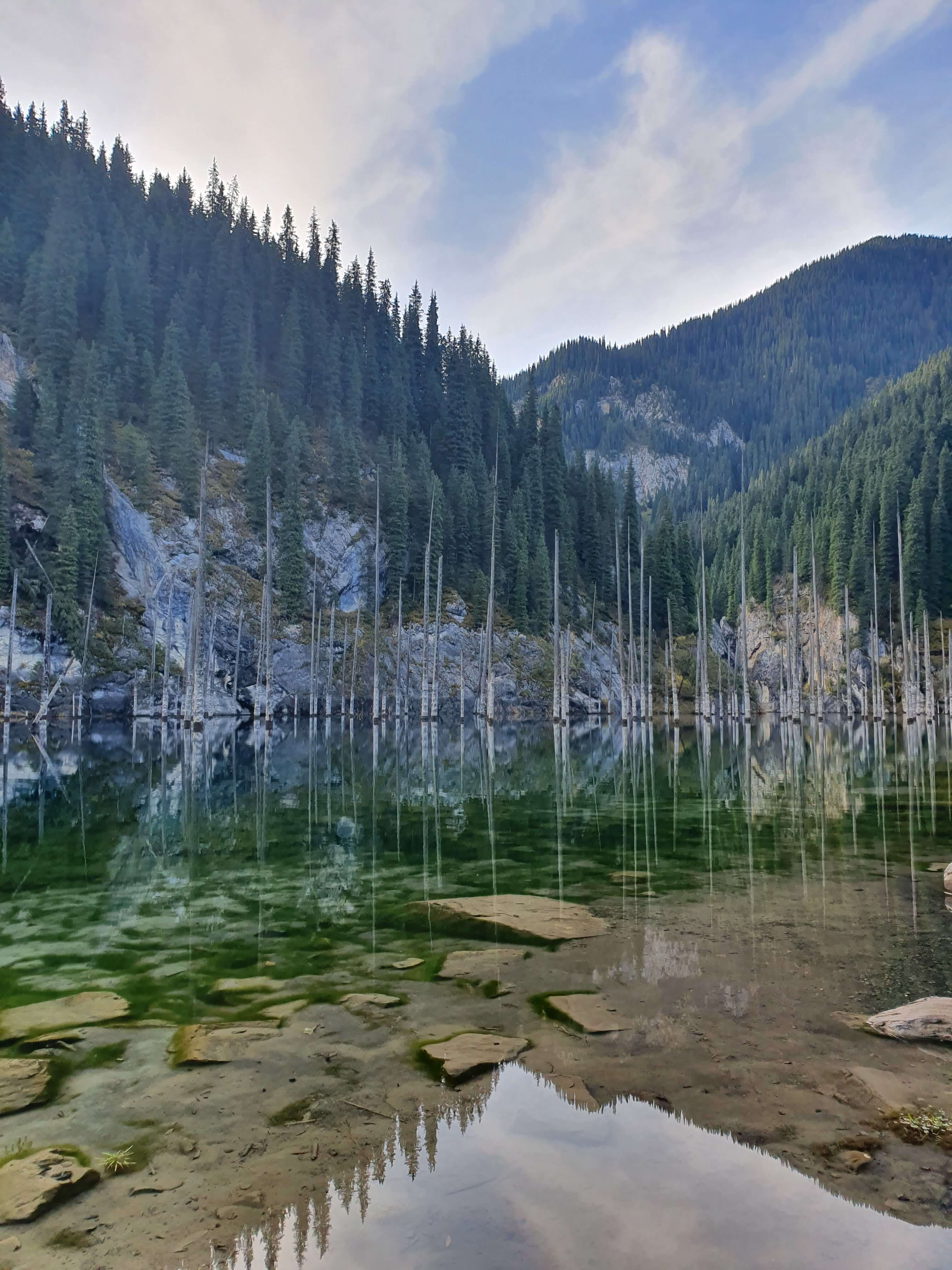 Fôret Marine Lac Kaindy Kazakhstan Photo du Jour