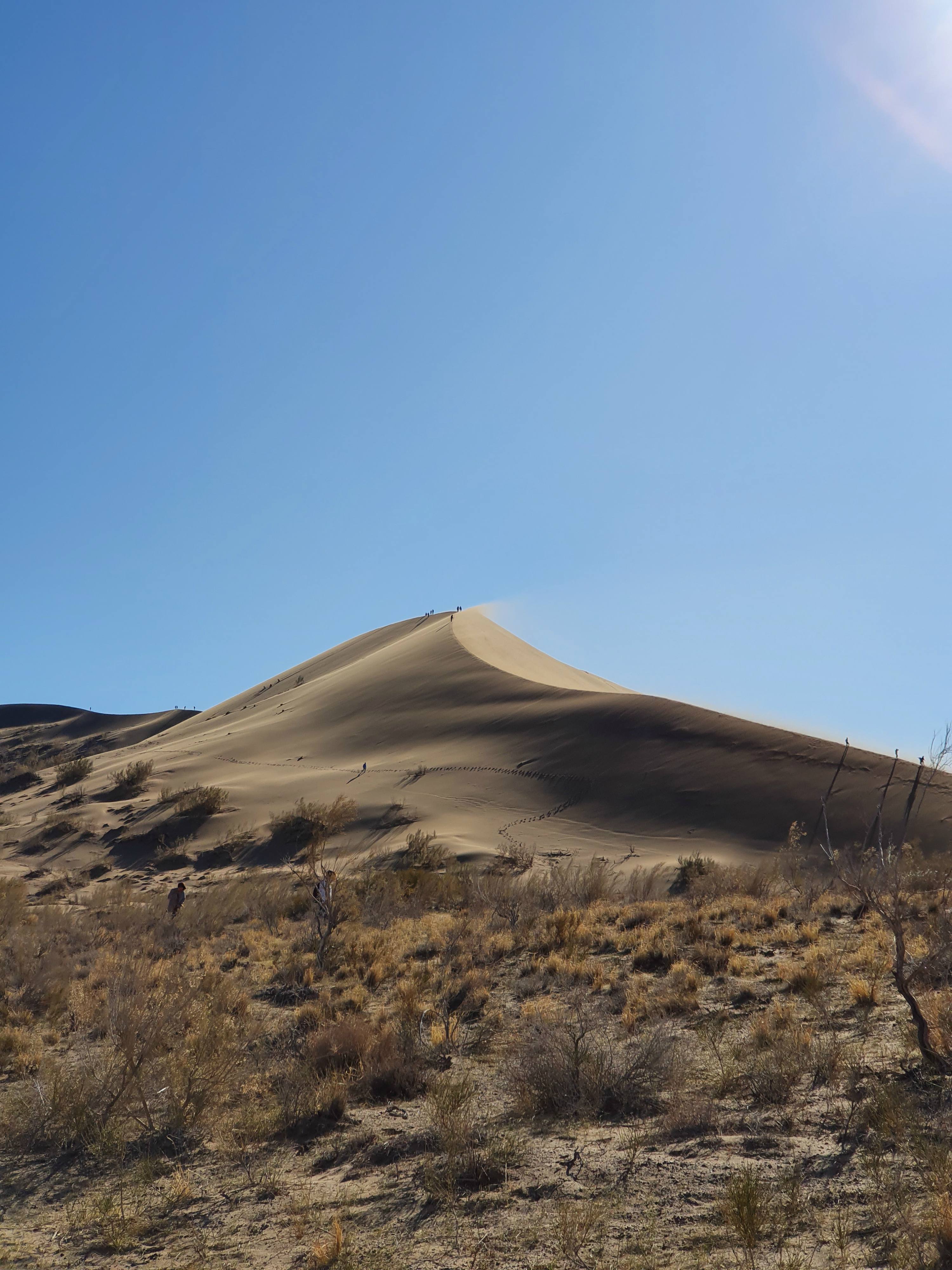 Dune Sable Kazakhstan Pic Altyn-Emel parc
