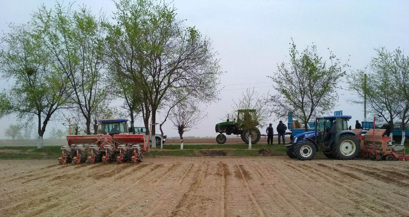 Agriculture Ouzbékistan