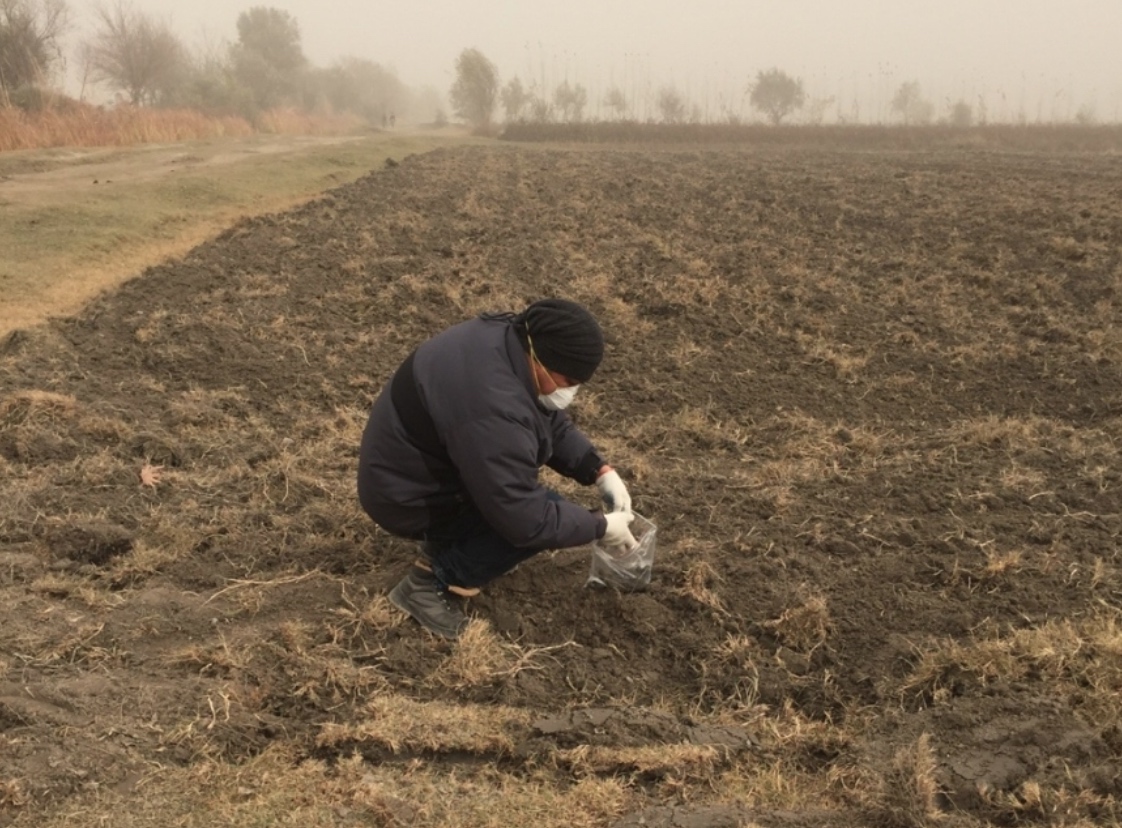 Pesticide Tadjikistan paysan champs