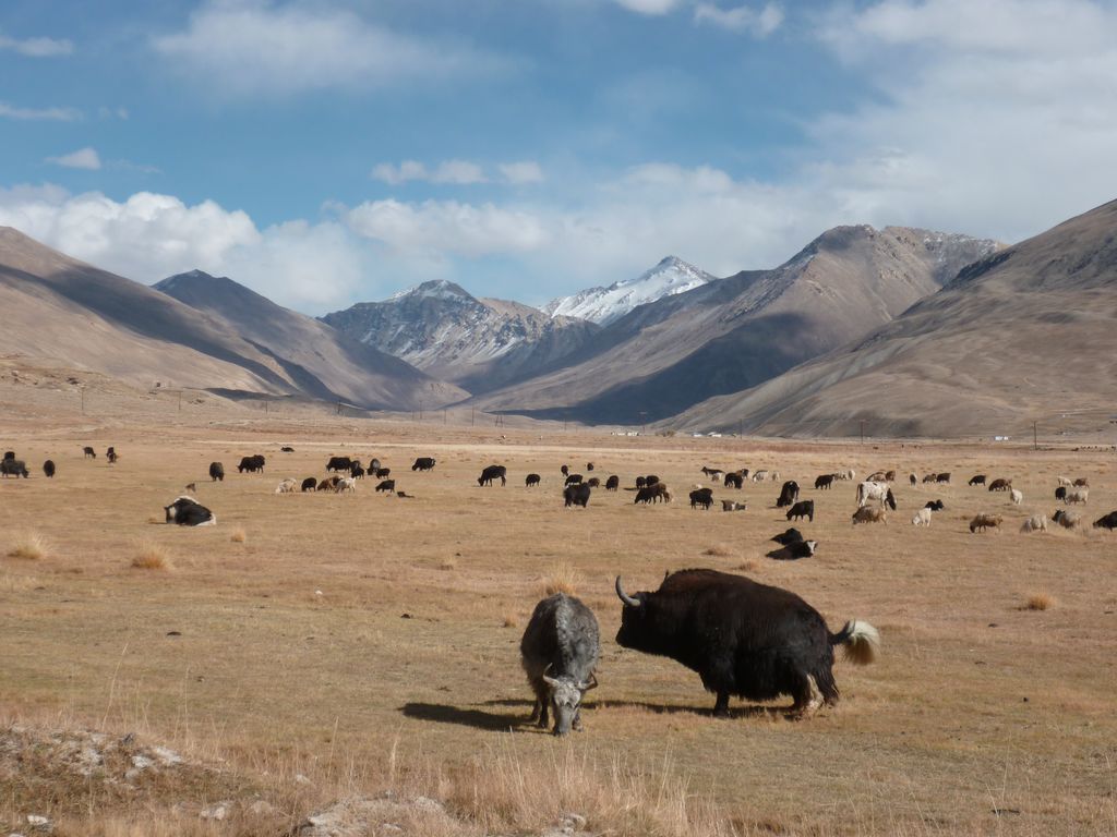Tadjikistan Tourisme Enquête Banque mondiale